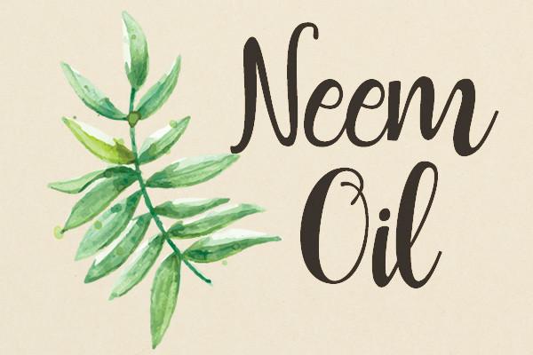 Neem Oil for Teeth + Gums