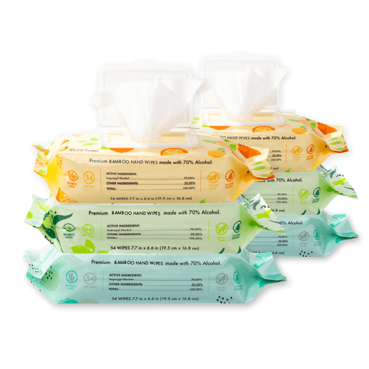 6 PACK - Variety Hand Wipes